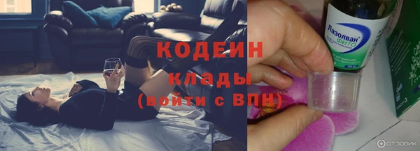 СК Вязьма