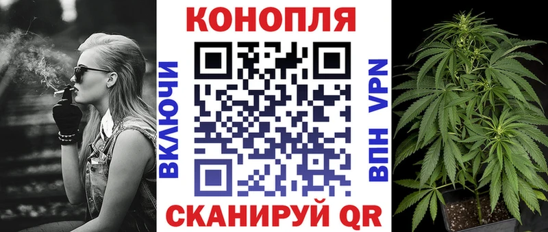 как найти закладки Шилка Конопля тримм